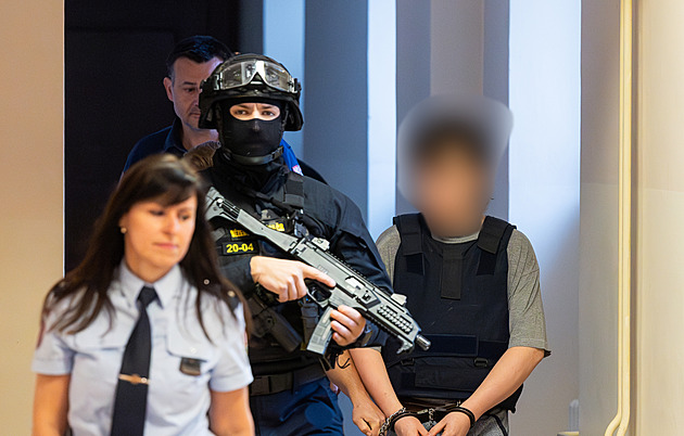 Sexuální deviant, musí do detence, řekli znalci v případu vraždy prodavaček