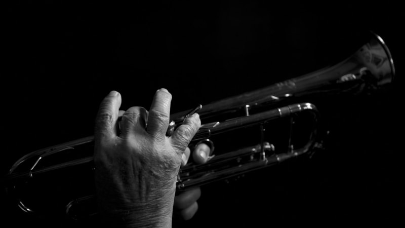 Zemřel Antonín Vaigl. Proslulý muzikant vytvořil jednu z nejpoužívanějších hudebních učebnic