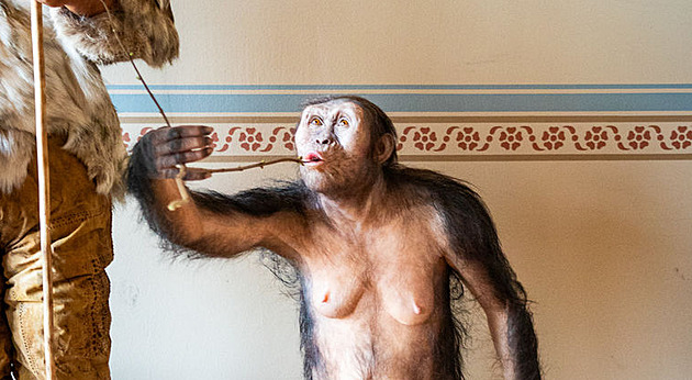 Lucy a Selam naposledy k vidění. V Národním muzeu končí výstava s prapředky lidstva