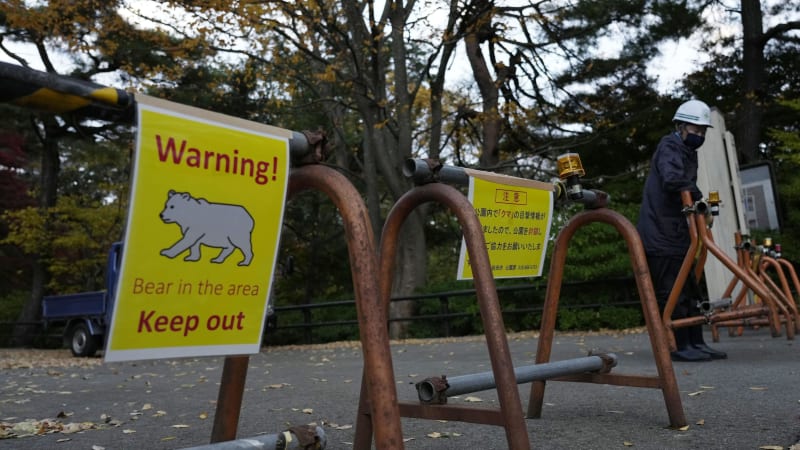 Útok medvěda na veřejné toaletě: Japonec se dokázal ubránit, šelmu zahnal kopanci