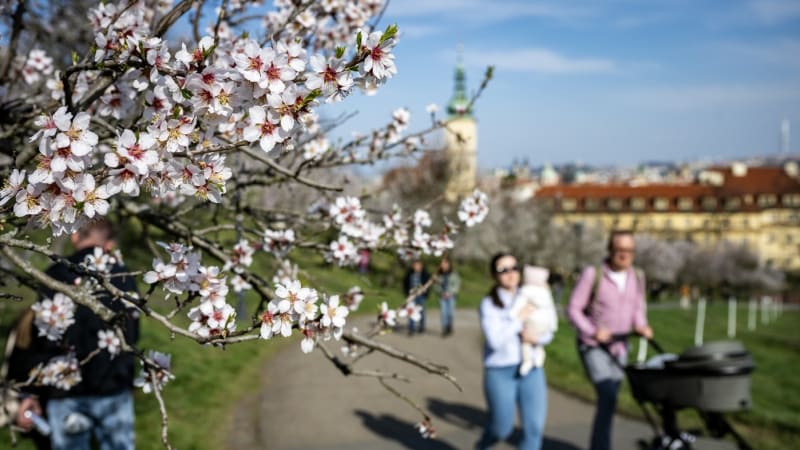 Slunce a krásných 22 stupňů, pak přijde zlom. V Česku bude mrznout a sněžit