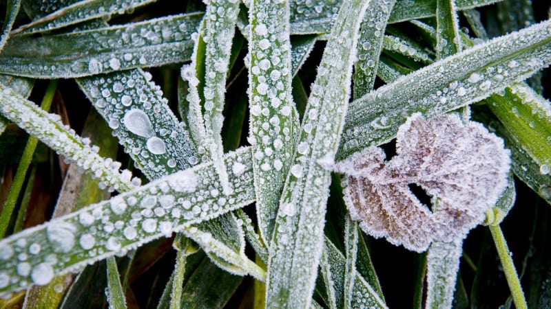Česko čeká skok do zimy, teploty spadnou až o 10 °C. MAPA ukazuje, kde bude nejchladněji